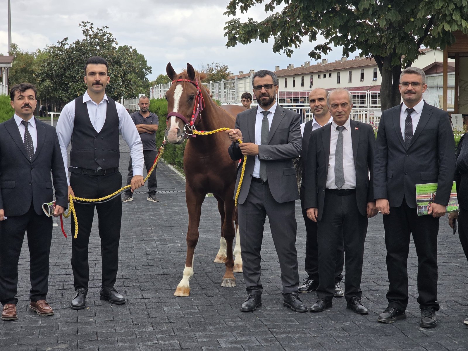 Veliefendi’de Sultansuyu Tayları İçin Milyonlar Yarıştı